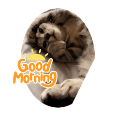 yukari_20220719011959