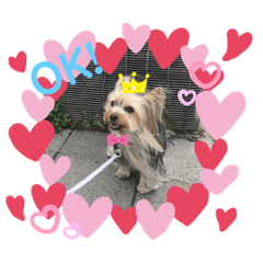 Chiyo_20220719053543