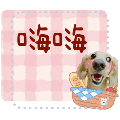 奶油臘腸狗豆豆（訊息貼）