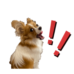 nozomi_20220719001848