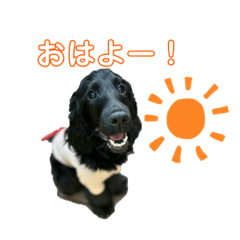 kaori_20220719115658