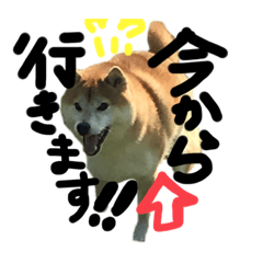 yuuko_20220719093159