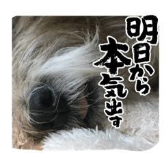 Junko_20220719122152