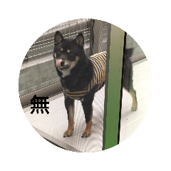 momoko_20220719140007