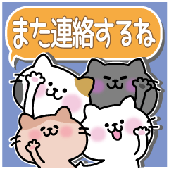 Four cute cats stickers 3