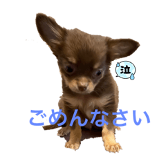 Yamada_20220719143113