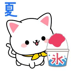 White cat in summer