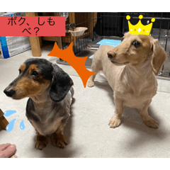 momoko_20220719164321