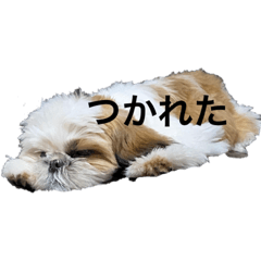 misa_20220719165226