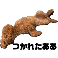 mizuki_20220719200110