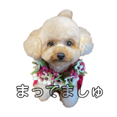 RINA_20220719201830