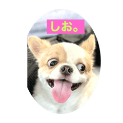 mary_20220719205550