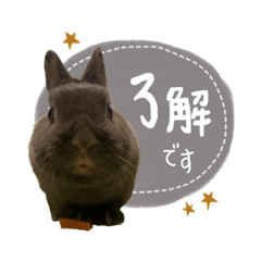 arisa_20220719224233