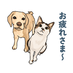 Beagle&cat1