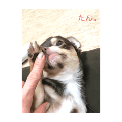 mary_20220719225303