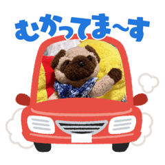 kobutanokituneko_20220717095659