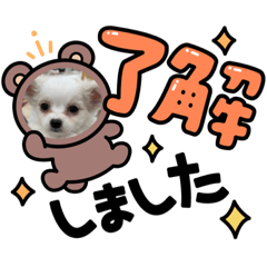 Hana_20220719214159