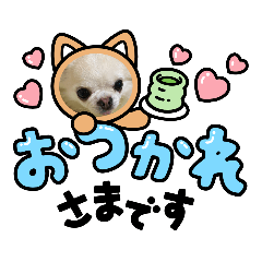 sak_20220719223053