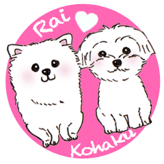Rai&Kohaku Sticker