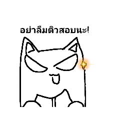 Test season no colours cat(Thai)