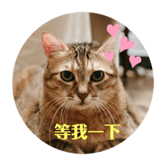 老大老二