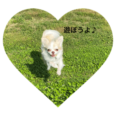 michiko_20220720091232