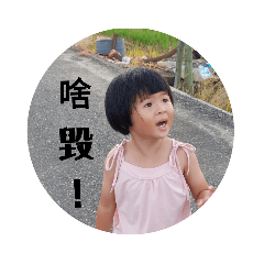 流星雨成長記