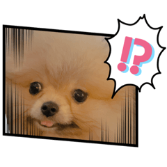 奶油麻糬表情包