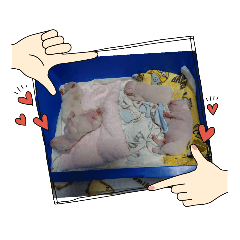 HELLO_20220720144157