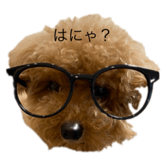 melon_20220719193401