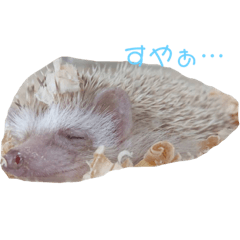yuto_20220719230251