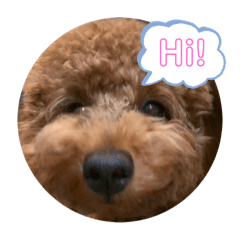 So cute wanchan Lala