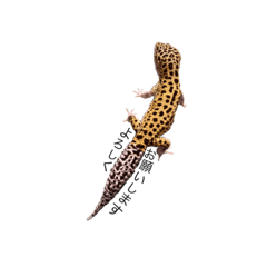 KINACO_20220720201118