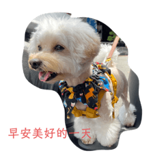 茶茶閑