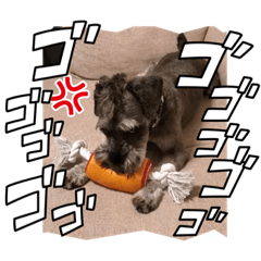 mizuki_20220720164131