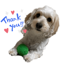 shiho_20220720203837