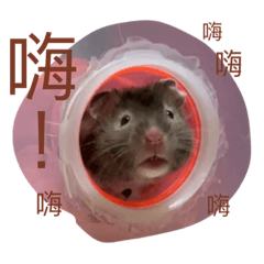 胖多の日常Part2