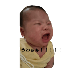 pokopoko_20220720162727