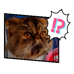 KOTOBUKIYA_20220720225745