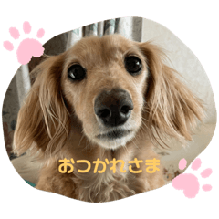misa_20220720230940