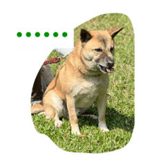 樂樂+多多的生活