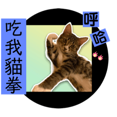 珍珠貓生2