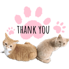 nami_20220720235514t