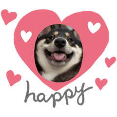 斗仔不要再吃了！