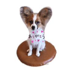 SHIMEJI MOM_20220721