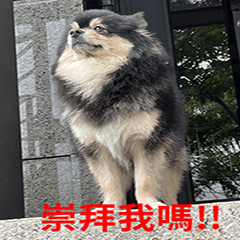 小白襪日常