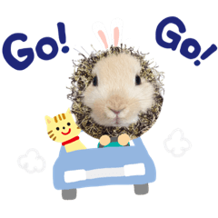 小毛頭球球生活用語