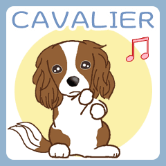 Cavalier キャバリア Ver2(毎日使える)