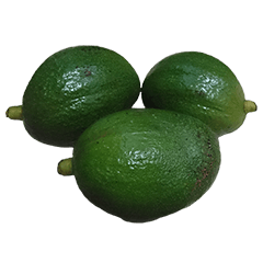 Food Series : Some Avocado