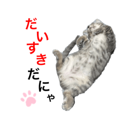 yun's nyanko